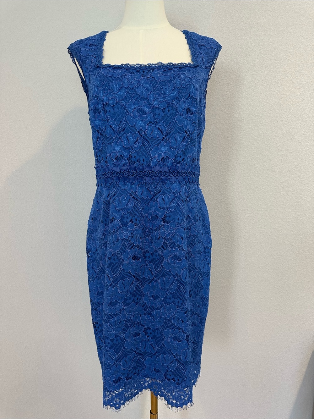 Ann Taylor Royal Blue Lace Cocktail Dress Size 10 Square Neck Sheath
